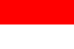 印度尼西亚女足